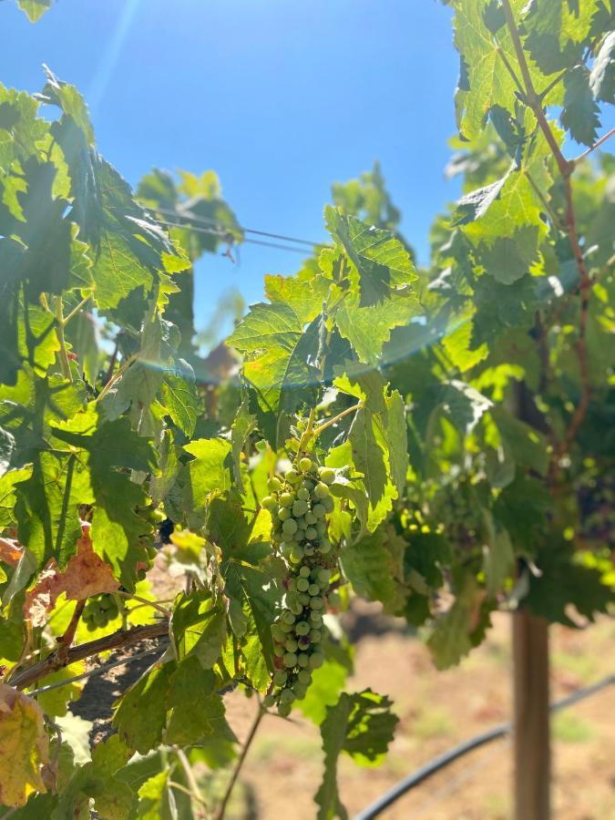 Villa de Juarez Quinta Lorame酒店 外观 照片