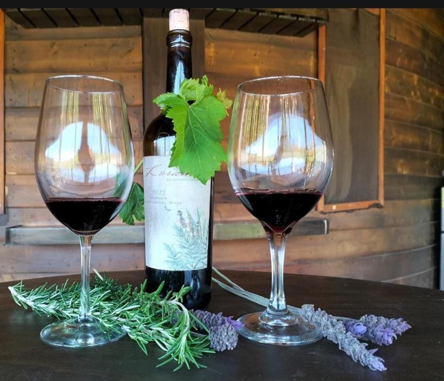 Villa de Juarez Quinta Lorame酒店 外观 照片