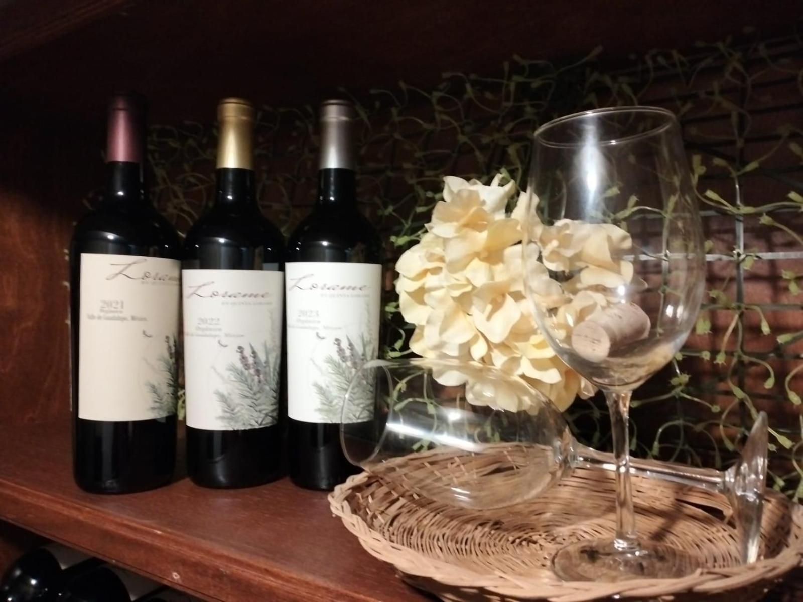 Villa de Juarez Quinta Lorame酒店 外观 照片