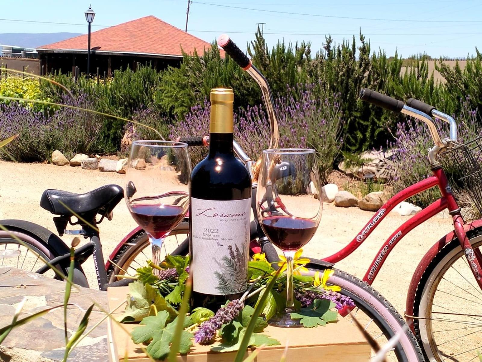 Villa de Juarez Quinta Lorame酒店 外观 照片